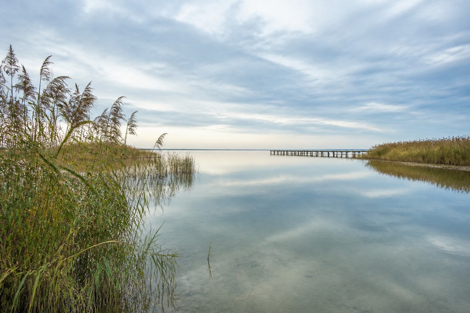 Тростниковый берег лагуны Bodden на Фишланд-Дарс-Цингст