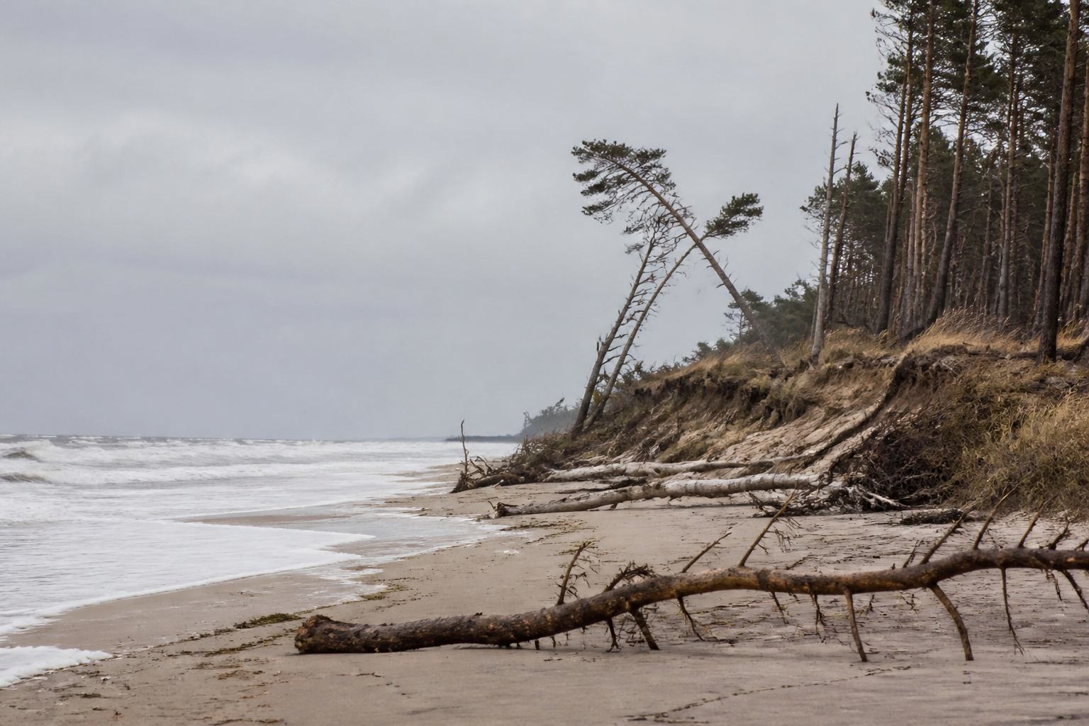 Дикий Балтийский берег Weststrand с волнами и песчаной линией
